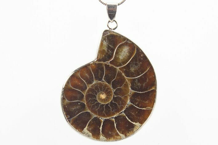 Fossil Ammonite Pendant - Million Years Old #306461